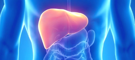 Aumenta mortes por gordura no fígado