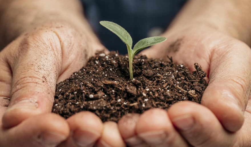 O anúncio do aumento de tarifas dos Estados Unidos sobre produtos brasileiros gerou forte apreensão no agronegócio, setor estratégico para a balança comercial e para a inflação no país.