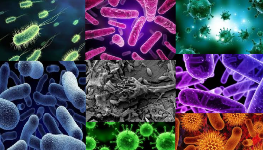 Um relatório dos Centros de Controle e Prevenção de Doenças (CDC) dos Estados Unidos mostrou que casos das chamadas 