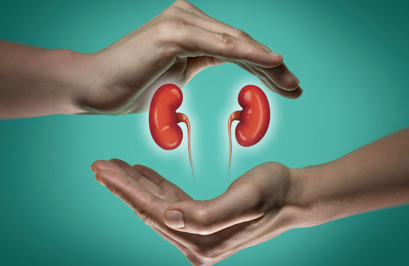 A doença renal crônica (DRC) passou a figurar entre as dez principais causas de morte no mundo em 2023, com cerca de 1,48 milhão de óbitos registrados globalmente.