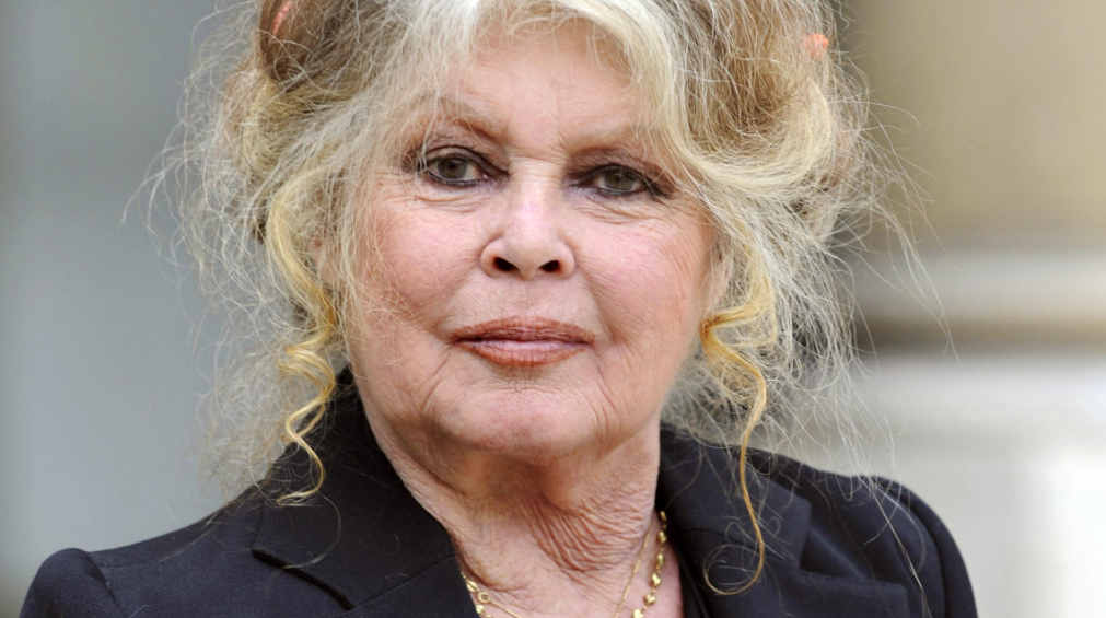Brigitte Bardot faleceu neste domingo (28), aos 91 anos, segundo a fundação Brigitte Bardot. Ícone do cinema europeu, ela também marcou o ativismo pelos direitos dos animais.