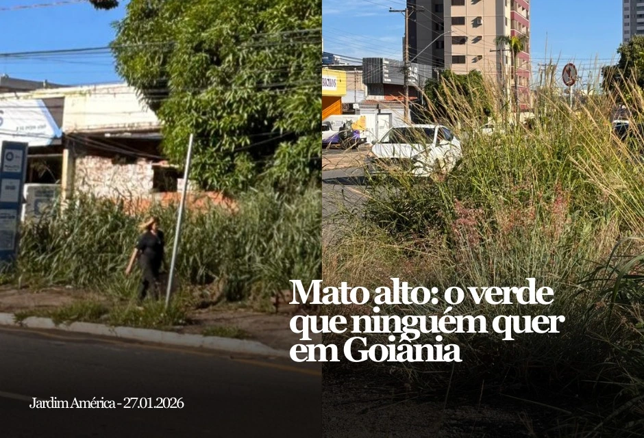 Moradores de Goiânia continuam a denunciar mato alto em vias, praças e lotes, problema que compromete segurança e mobilidade urbana. Nas redes sociais, as queixas apontam bairros específicos e questionam a efetividade da manutenção municipal.