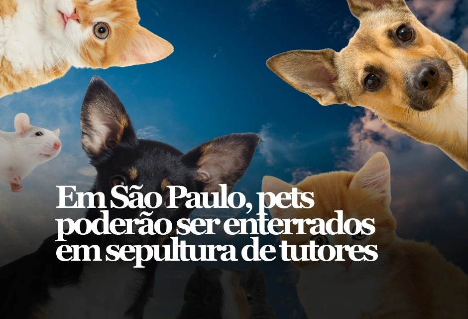 Desde terça-feira (10), uma lei estadual passou a autorizar que cães e gatos sejam sepultados em campas e jazigos familiares no Estado de São Paulo
