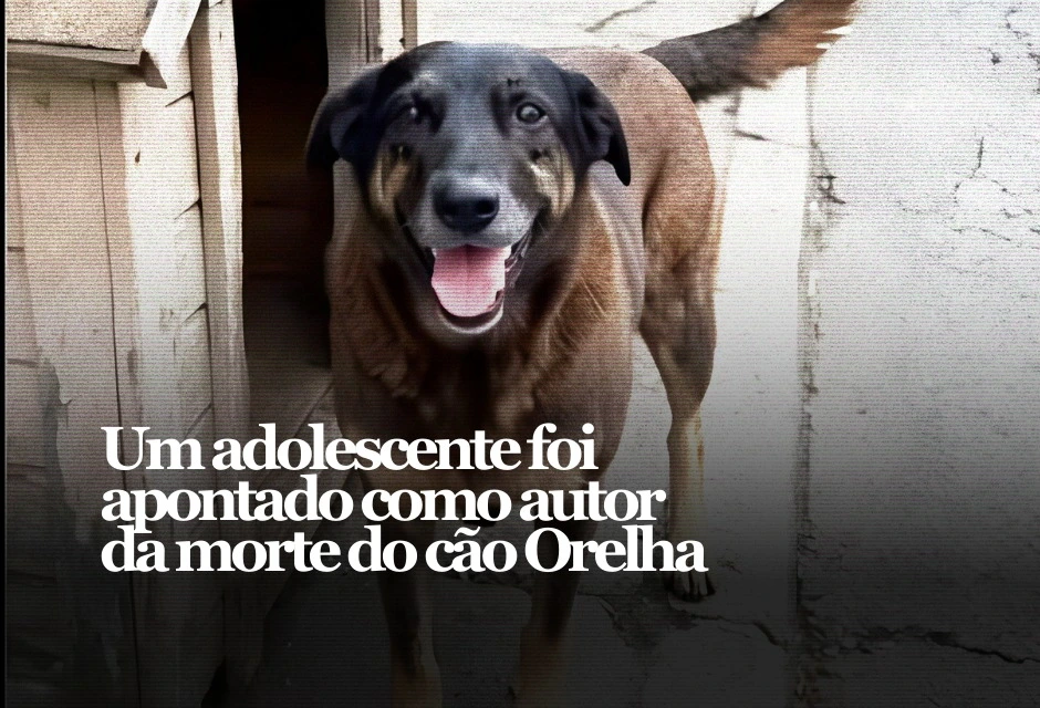 A Polícia Civil de Santa Catarina pediu a internação do adolescente apontado como responsável pela mort3 do cão comunitário Orelha, em Florianópolis. A conclusão do inquérito foi enviada ontem (terça-feira, 3) ao Ministério Público e ao Judiciário.
