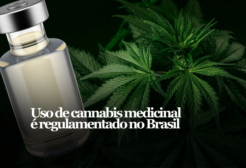 A partir de 03 de agosto de 2026, o cultivo de cannabis medicinal passa a ter regra administrativa no país — mas só para pessoas jurídicas, com autorização e fiscalização sanitária.