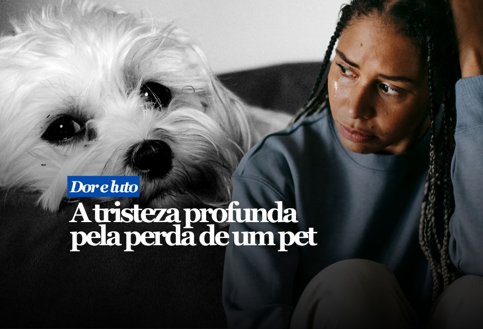 A perda de um pet pode atingir uma pessoa com a força de uma despedida familiar. Não é exagero, nem “drama”. Cães, gatos e outros animais deixaram de ocupar apenas o quintal ou a função de companhia distante. Eles vivem dentro de casa, participam da rotina, dormem perto, esperam na porta, reconhecem horários e passam a fazer parte de uma memória afetiva construída todos os dias.