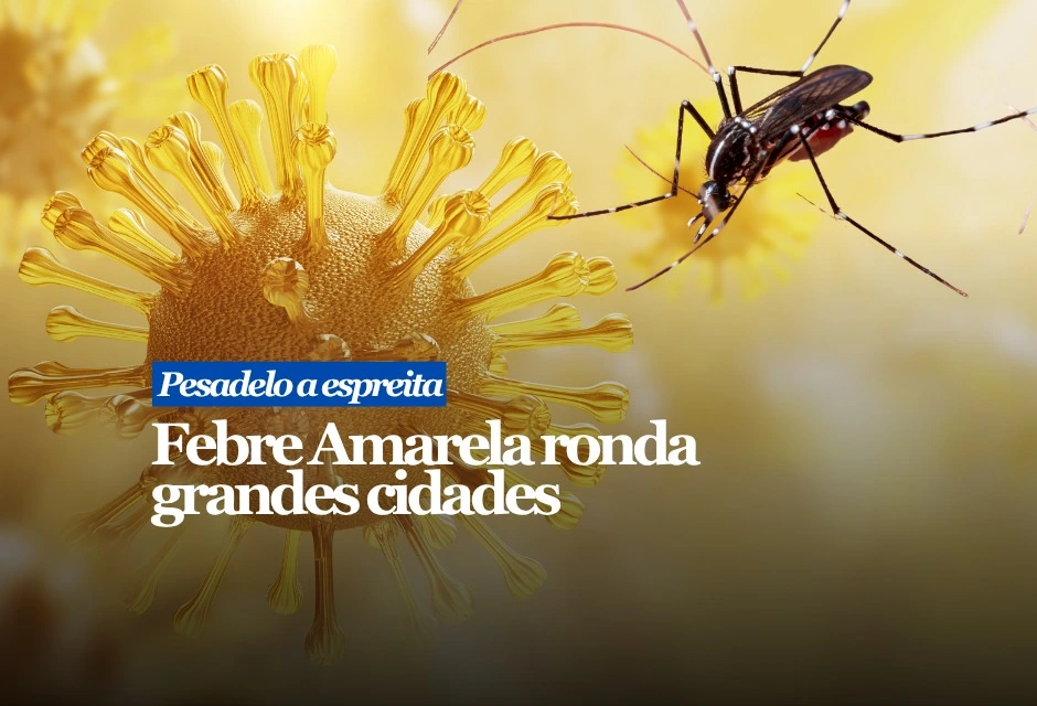 Um estudo liderado pela Faculdade de Medicina da USP analisou a circulação do vírus no Parque Estadual Alberto Löfgren, na zona norte de São Paulo, área vizinha ao Parque da Cantareira e frequentada por milhares de visitantes.