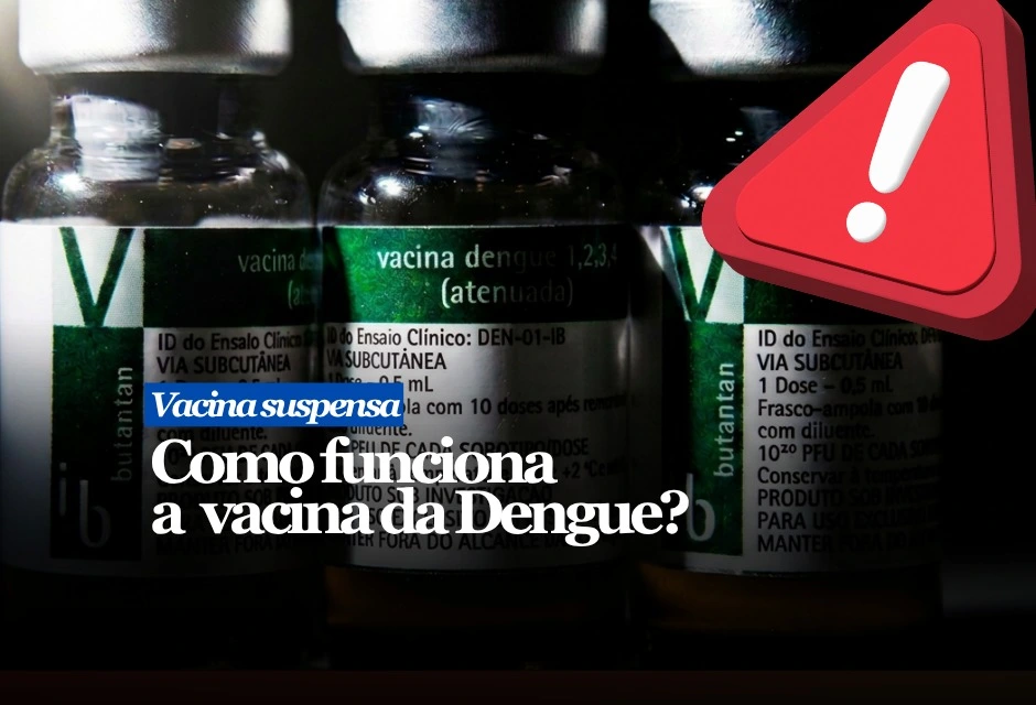 A vacina usa vírus atenuados, ou seja, vírus enfraquecidos em laboratório. Eles não têm capacidade de provocar a doença na forma comum, mas são suficientes para “apresentar” o vírus ao sistema imunológico. A partir daí, o corpo produz anticorpos e células de memória para reagir mais rápido em caso de contato futuro com a dengue.