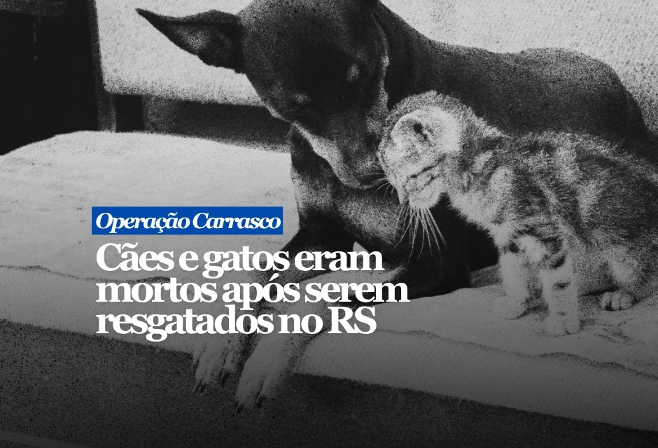 A ex-secretária de Bem-Estar Animal de Canoas, Paula Lopes, foi presa nesta segunda-feira, 15, na segunda fase da Operação Carrasco, da Polícia Civil do Rio Grande do Sul.