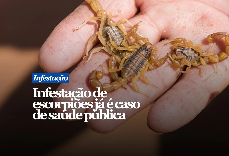 O Brasil registrou 225.695 acidentes com escorpiões em 2025, segundo dados do Ministério da Saúde divulgados pelo Instituto Butantan. Foram 265 mortes, o dobro do ano anterior. Crianças menores de 10 anos concentraram mais de 20% dos óbitos.