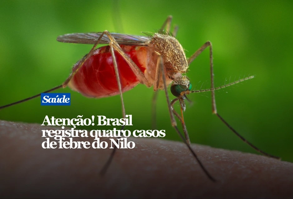 O Brasil confirmou quatro casos de Febre do Nilo Ocidental em 2026: dois em Santa Catarina e dois em São Paulo. Um quinto caso, no Piauí, é considerado provável e segue em investigação pelo Ministério da Saúde. Em Santa Catarina, os pacientes são de Imbituba e Caçador. Uma mulher de 77 anos morreu depois de apresentar manifestações neurológicas. O outro paciente, de 56 anos, foi internado e recebeu alta.