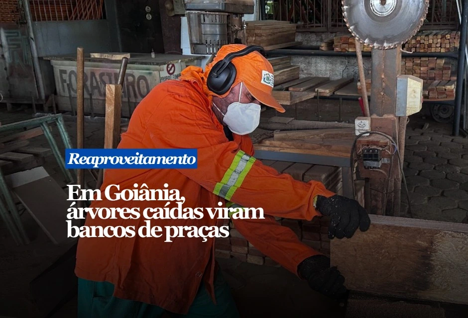 Troncos e galhos retirados de áreas públicas de Goiânia estão ganhando uma nova função antes do descarte: viram bancos para praças e outros espaços de convivência da cidade. O trabalho é feito na marcenaria da Comurg. A madeira passa por seleção, corte, tratamento e preparação até ser transformada em pranchas. A produção chega a 25 peças por dia, suficientes para a montagem de até seis bancos. Cinco profissionais atuam diretamente no serviço. Cada banco utiliza sete peças de madeira. Além de fabricar novas unidades, a equipe também recupera estruturas já instaladas.