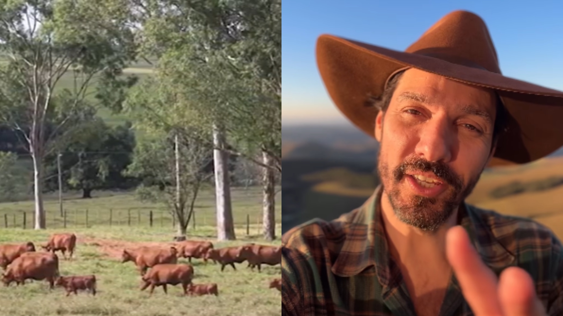 Ator Guito, de Pantanal, se dedica à produção de queijos em fazenda no interior de Minas Gerais