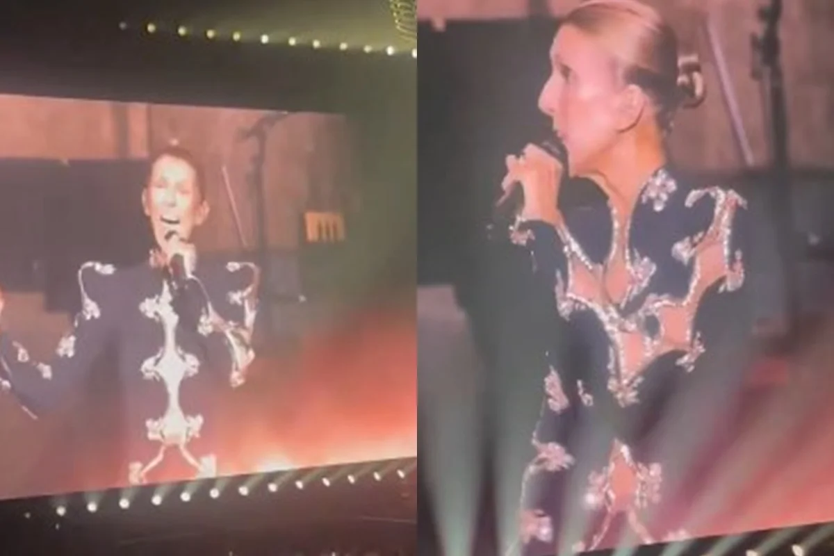 Céline Dion faz emocionante retorno aos palcos com 
