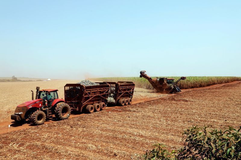 Condições climáticas influenciam produção de açúcar e etanol no Brasil