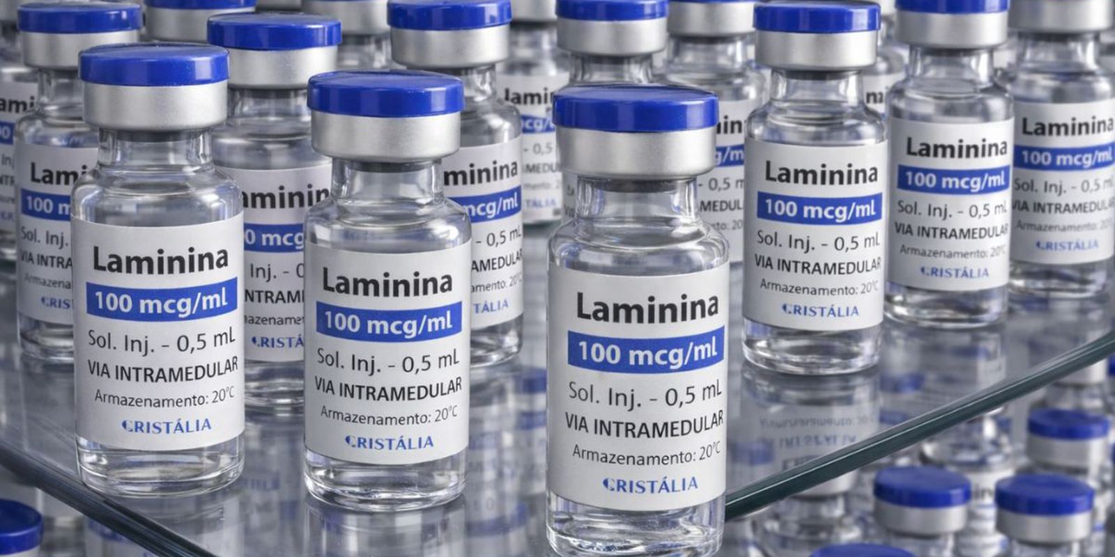 Início dos testes clínicos da polilaminina está agendado para este mês