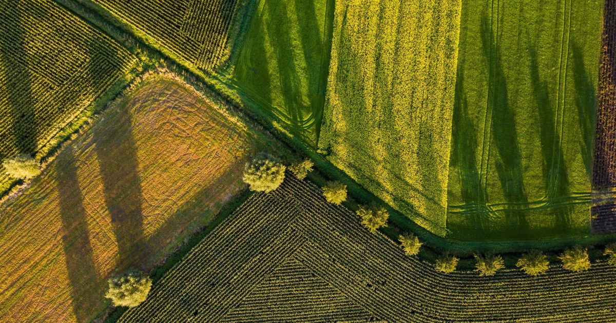 Desafios do agronegócio para o próximo presidente a partir de 2027