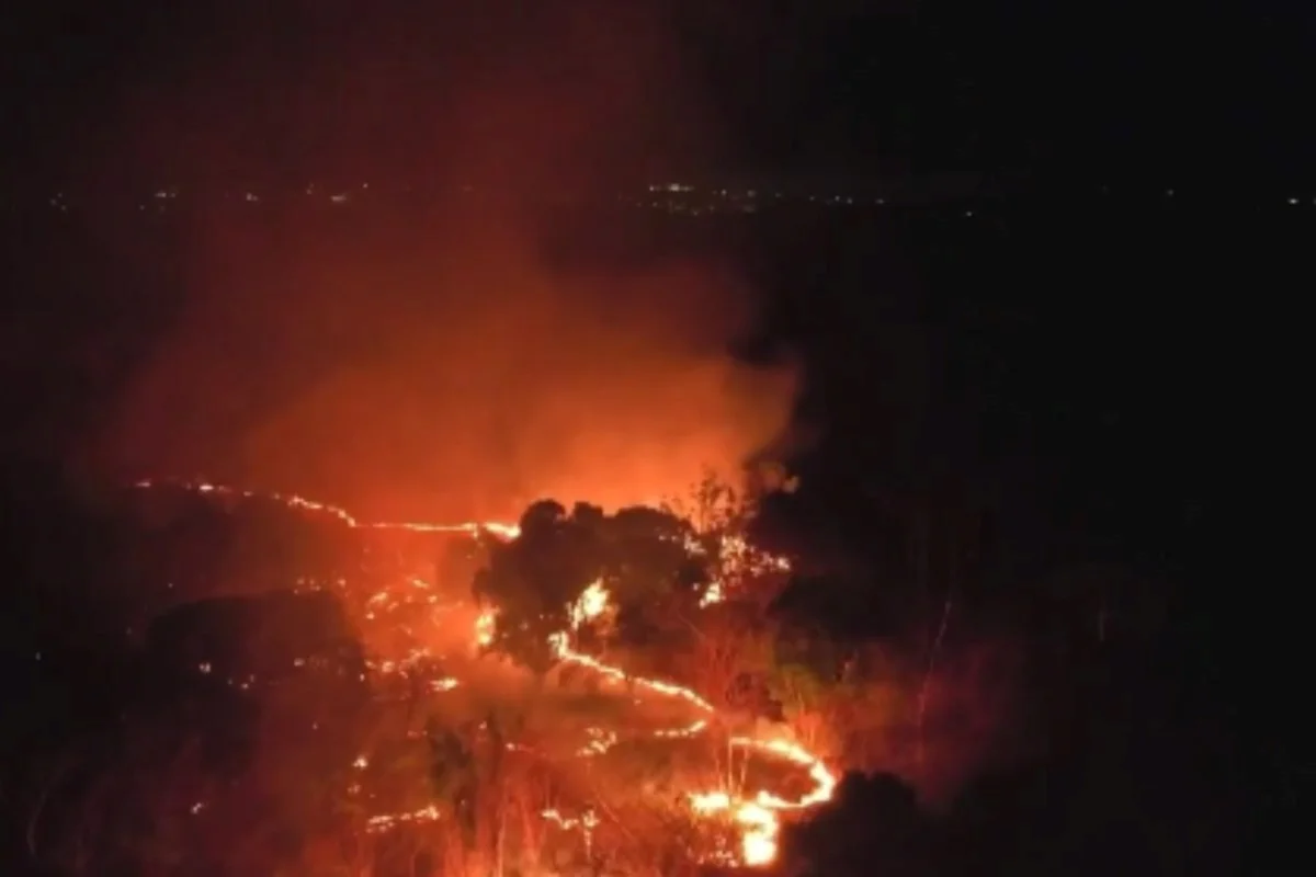 Incêndio de grandes proporções atinge área da Embrapa em Teresina