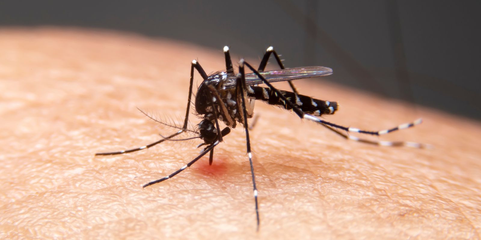 Mudanças climáticas impulsionam aumento de doenças infecciosas no Brasil