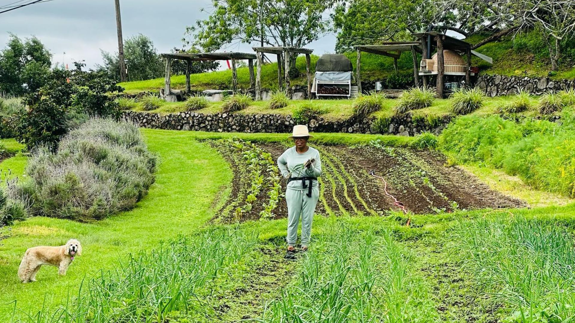 Oprah Winfrey transforma refúgio no Havaí em uma fazenda sustentável