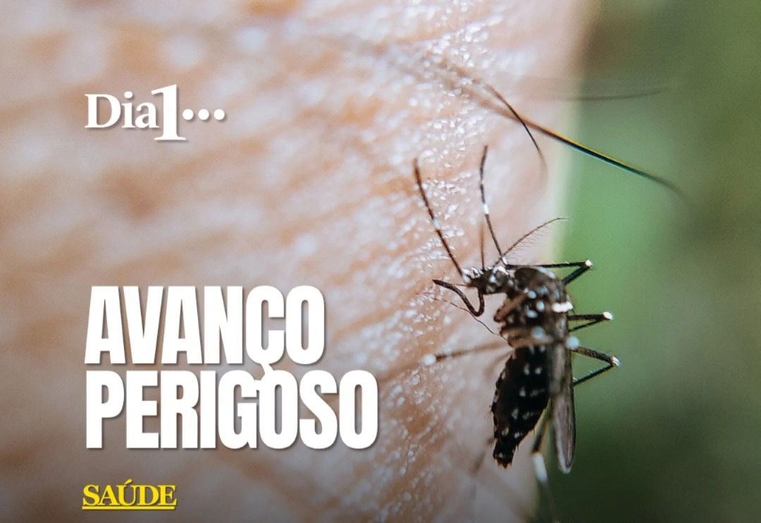 Goiás registra um crescimento de 343% nos casos confirmados de chikungunya em 2026, na comparação com o mesmo período do ano passado. Segundo a Secretaria Estadual da Saúde, são mais de 11,3 mil confirmações. A dengue também avançou 17% e ultrapassou 108 mil casos. Com a chegada do período chuvoso, o governador Daniel Vilela reuniu prefeitos nesta segunda-feira (19) e anunciou uma mobilização estadual para combater o Aedes aegypti, mosquito transmissor da dengue, Chikungunya e Zika.